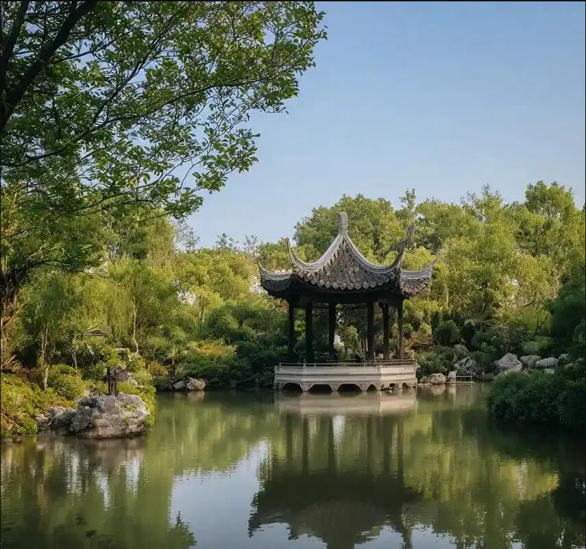 鸡西麻山从灵计算机有限公司